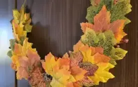 584565916_122159187590853683_7126935173441055433_n