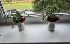 586495235_122159187920853683_8888839552841604327_n